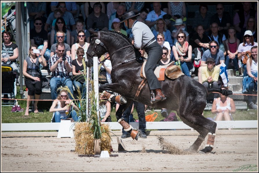 Pferd International 086